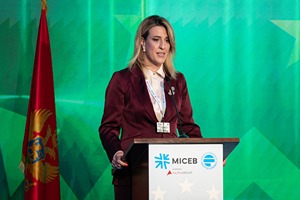 MICEB 2025